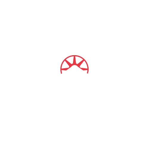 Master Drive Academy